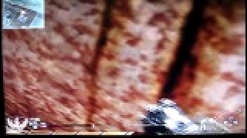 mw2 Inside Pipe RUST (after patch)