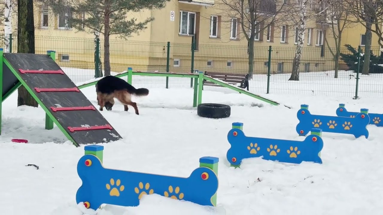 MUSISZ to zobaczyć :P Coraz lepiej mu wychodzi :D