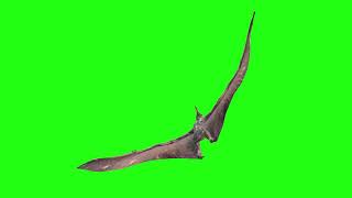 Pterodactyl Fly Glide Left | Green Screen 3D Animation Video