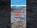 #Columnas de #Basalto en #Tenerife #acantilado #marina #viajes #viajesconscientes