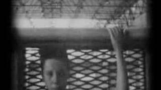 Il Chitarrista - Federico Poggipollini