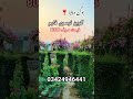 گرین نرسری فارم #farming #plants #gardening ال پاکستان ڈیلیوری 03424946441
