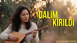 Dalım Kırıldı Psychedelic Anatolian Rock Cover