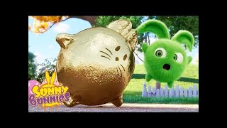 New Golden Friend | Sunny Bunnies  | Cartoons for Kids | WildBrain Indonesia