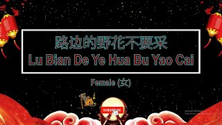 路边的野花不要采 (Lu Bian De Ye Hua Bu Yao Cai) Female - Karaoke Mandarin