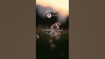 الشيخ ماهر المعيقلي  #اكسبلور #قرآن #explore #قران_راحة_نفسية #لايك #سورة_يس