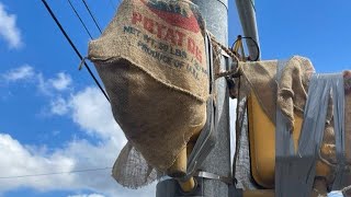 WebXtra: City of Longview conducts another test of four way stop