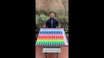 Puzzle sort ball game solve and challenge very quick