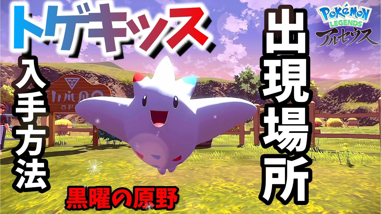 黒曜の原野 トゲキッス 出現場所 ライドがアヤシシのみでの行き方を説明 ポケモンアルセウス Youtube