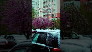 #фотографкраснодар #краснодар #снег #апрель #весна