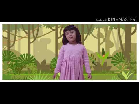 Mengenal hewan  langka  indonesia bersama cece YouTube