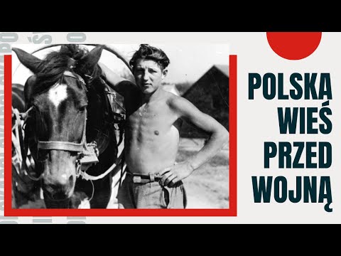 Wideo: Główni budowniczowie Petersburga nie mają ani grobów, ani potomstwa, ani portretów. Ponieważ nie zostały wymyślone