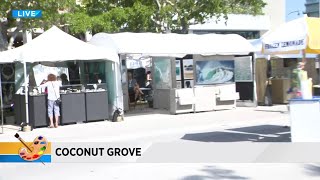 Coconut Grove Arts Festival expecting over 100,000 people