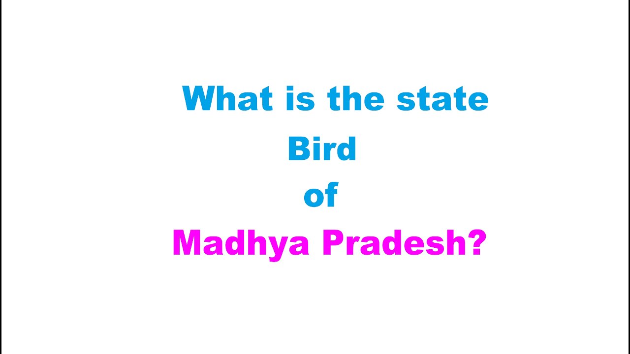 What  is the state Bird  of Madhya Pradesh?
