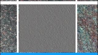 17225555EAD613C7AC4DD50458AEFD#1