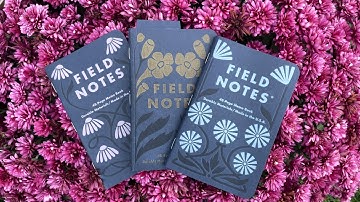 Field Notes Fall 2025 Quarterly Edition Review - Fall Flowers