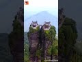 سبحان الخالق الكون سبحان الخالق الكون