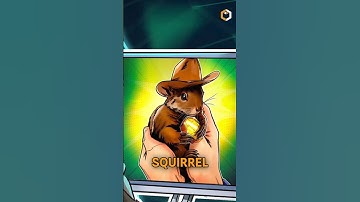 Squirrel Wallet: Redefining Web3 Wallets