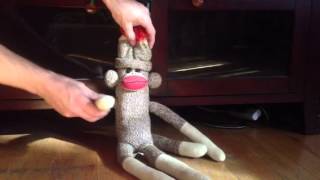 Sock monkey horror