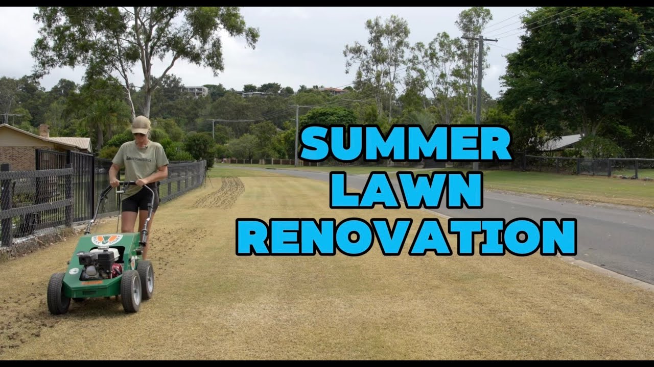 Summer Lawn Renovation // FAST Recovery