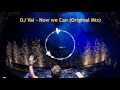 DJ Val - Now we Can (Original Mix)
