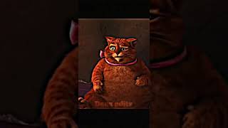 Puss In Boots glow up