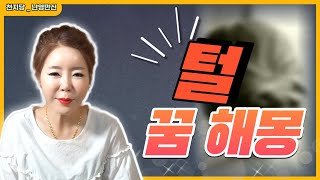 털 꿈해몽 털에관한 꿈해몽