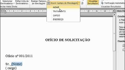 Criando uma Mala Direta no WORD 2010 (VIDEO)