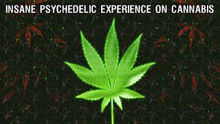 Insane Psychedelic Experience on Cannabis