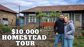 Quitting our jobs to start a homestead from scratch.