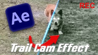 64 Bits Tutorial - Trail Camera Effect (After Effects)