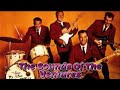 The Sounds Of The Ventures