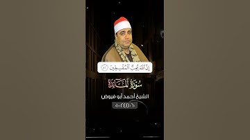 وَإِنْ حَكَمْتَ فَاحْكُم بَيْنَهُم بِالْقِسْطِ ۚ - ايه الجمال دا يا أبو فيوض ! فارس التلاوة الأول