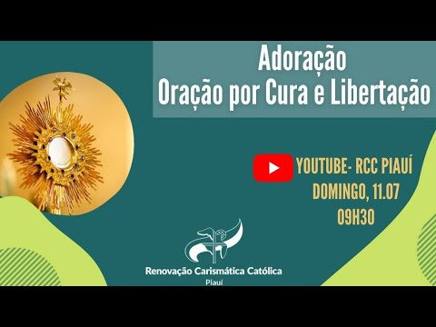 Vídeo: Ressonador Acústico Da Intercessão Da Virgem - Visão Alternativa