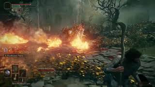 Elden Ring: "Godrick The Grafted" No Damage Run