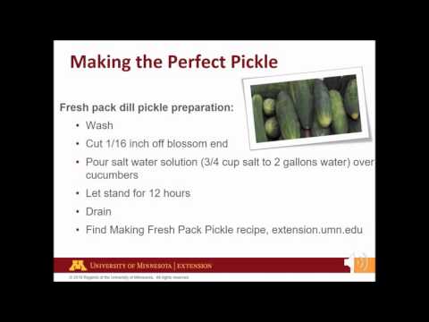 Pickles 101: A Beginner's Guide