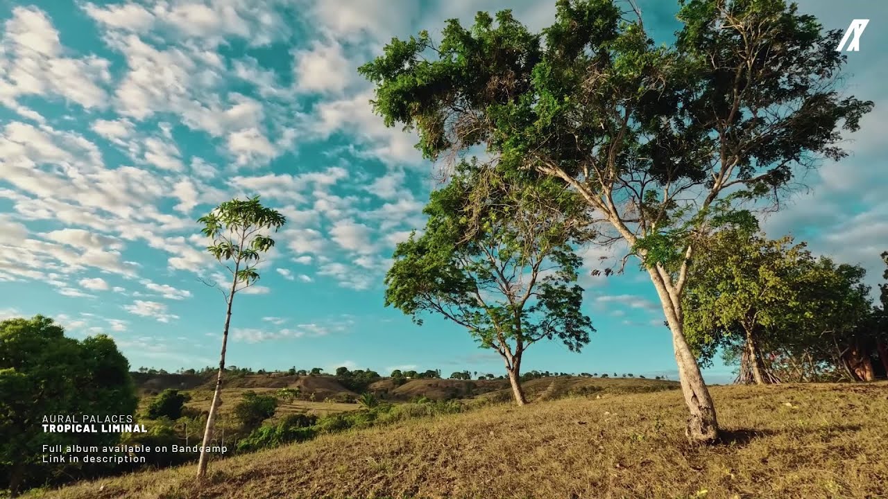 1 Hour Deep Wellness Soundscape – Calm Ambient Music for Relaxation