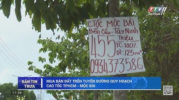Mua bán đất trên tuyến đường quy hoạch cao tốc TPHCM- Mộc Bài | Thời sự Tây Ninh | TayNinhTV