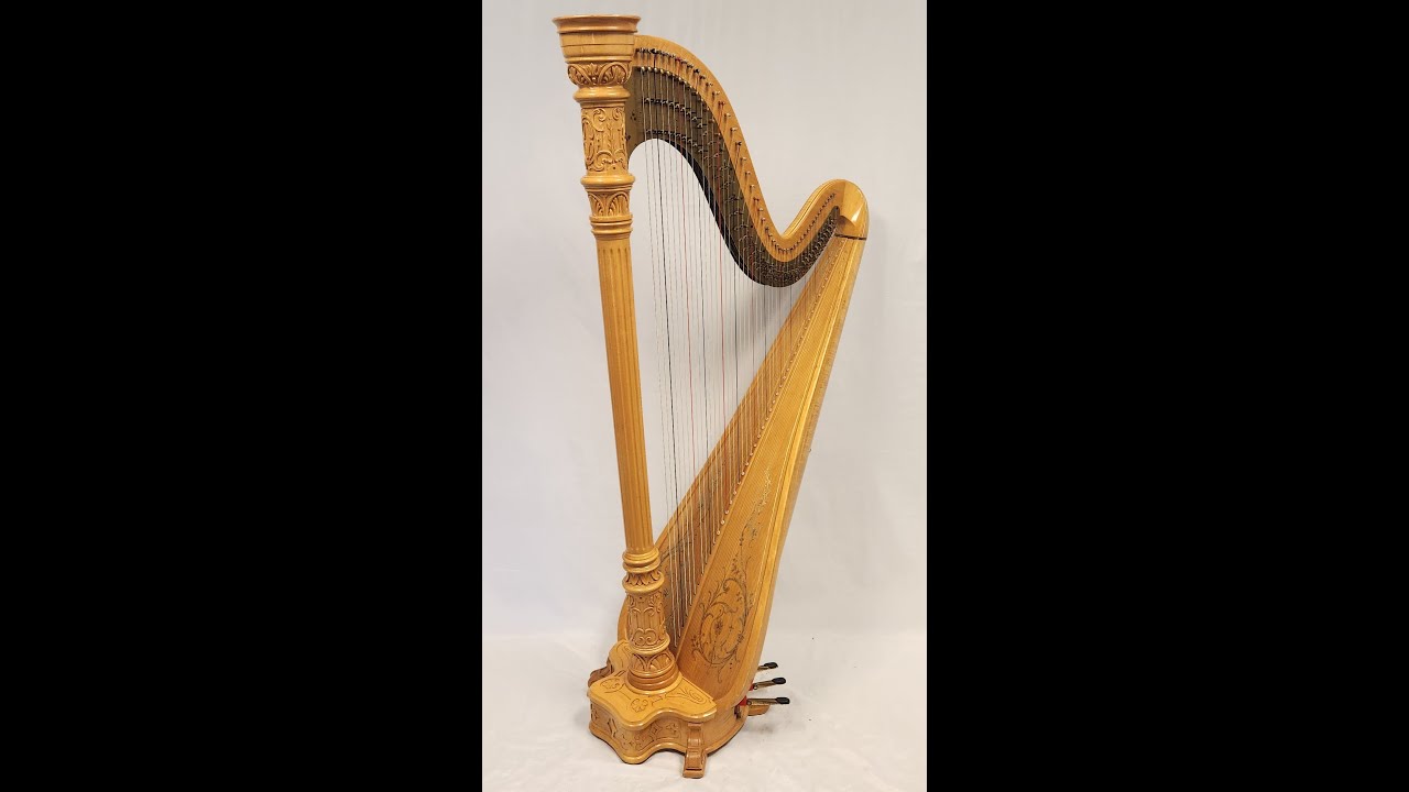 Lyon & Healy Style 17 