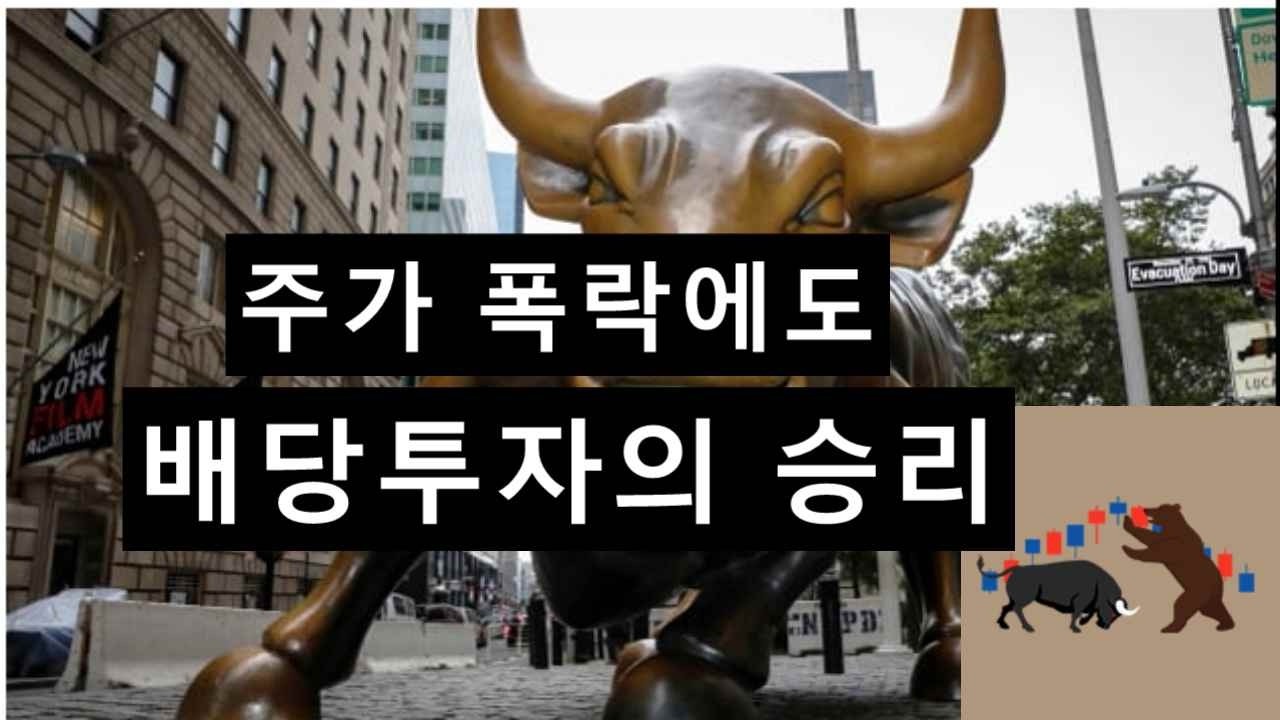 주가 폭락에도 배당투자의 승리