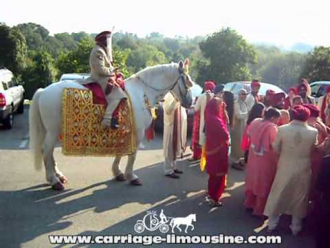 Indian Baraat Horse -- Indian Wedding Horse 8e -- Carriage LimGolden weddingine Service