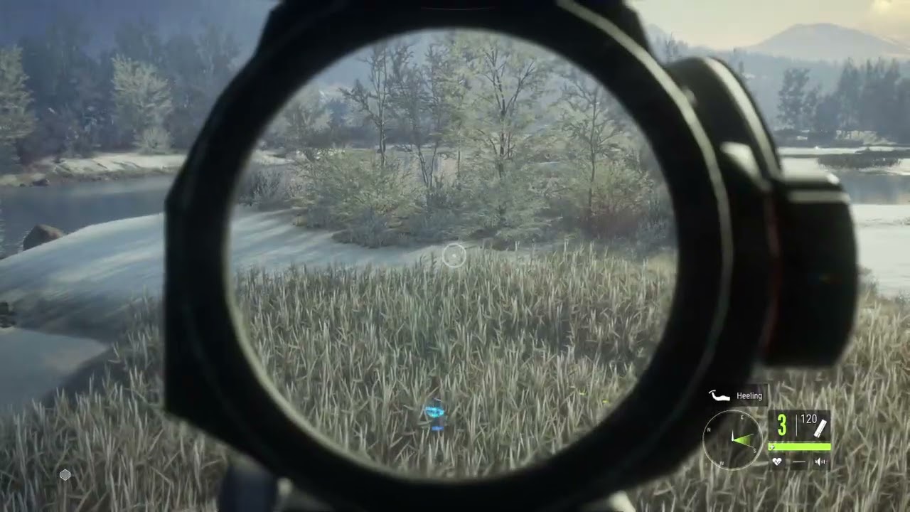 Diamond Northern Pintail | theHunter: Call of the Wild