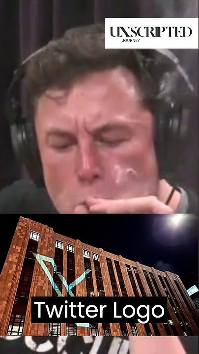 Elon Musks X What Does It Mean To Elon ChatGPT Answers elonmusk elon-musks-x-what-does-it-mean-to-elon-chatgpt-answers-elonmusk