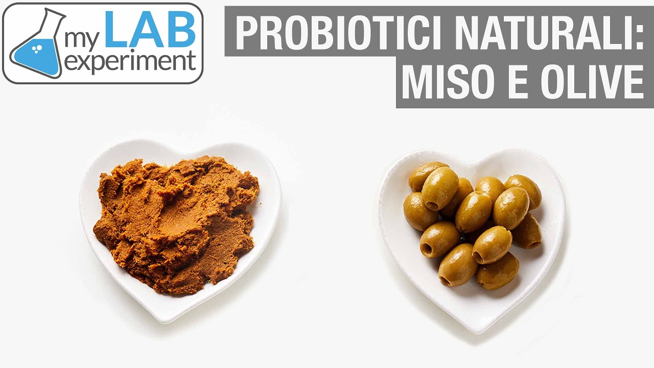 Probiotici naturali: MISO e OLIVE