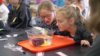 Learn about tide pools in this Oregon Sea Grant class for kids