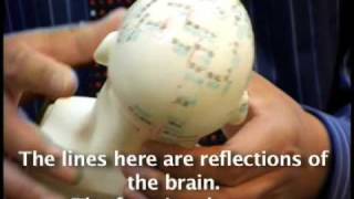 Eastern Medicine In Western Culture Pt. 2