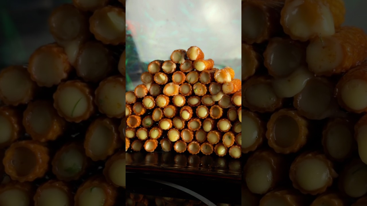 Testing VIRAL Snack Recipes by @B@BayashiTV_