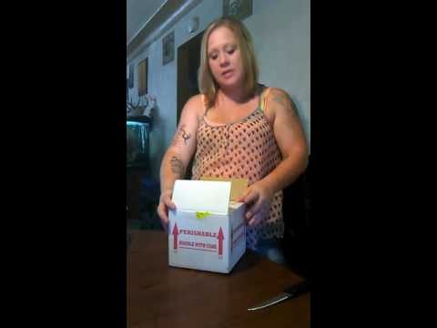 Unboxing video snake from Ryan's boas