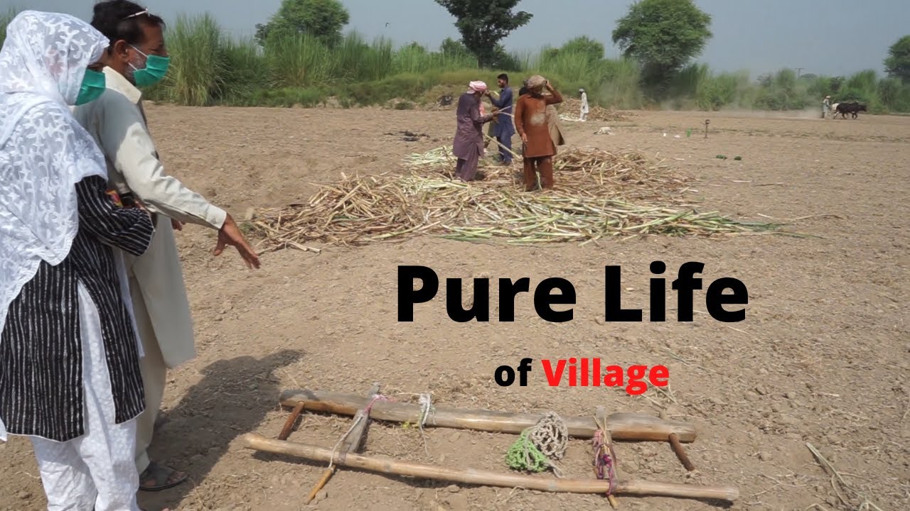 Pure Hard Work of Villagers | Pakistani People