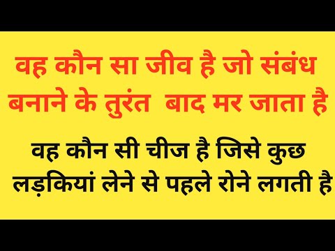 GK Question || GK In Hindi || GK Question And Answer || GK Quiz || Hindi GK Study || @hindigkstudy.